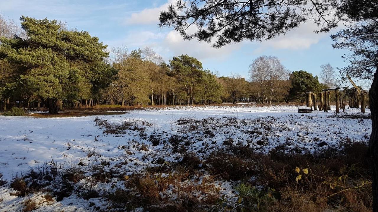 Chalet Op De Veluwe # Linde พุทเทิน ภายนอก รูปภาพ