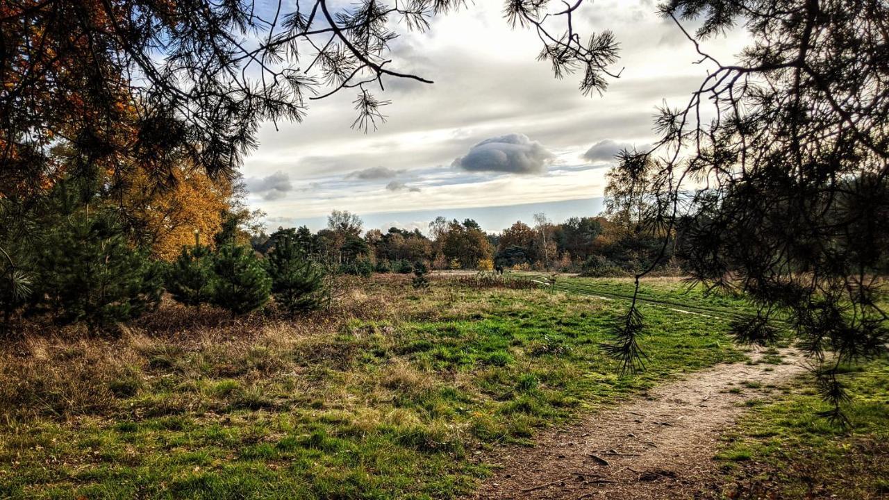 Chalet Op De Veluwe # Linde พุทเทิน ภายนอก รูปภาพ