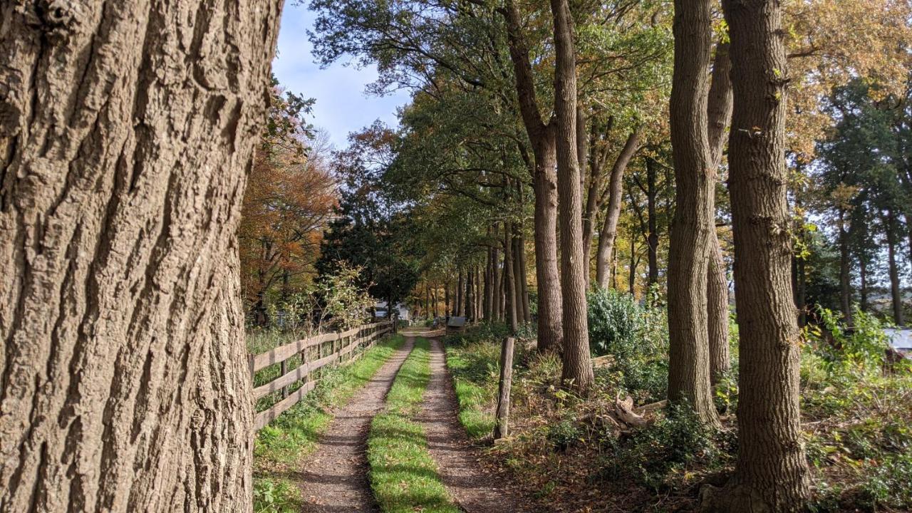 Chalet Op De Veluwe # Linde พุทเทิน ภายนอก รูปภาพ