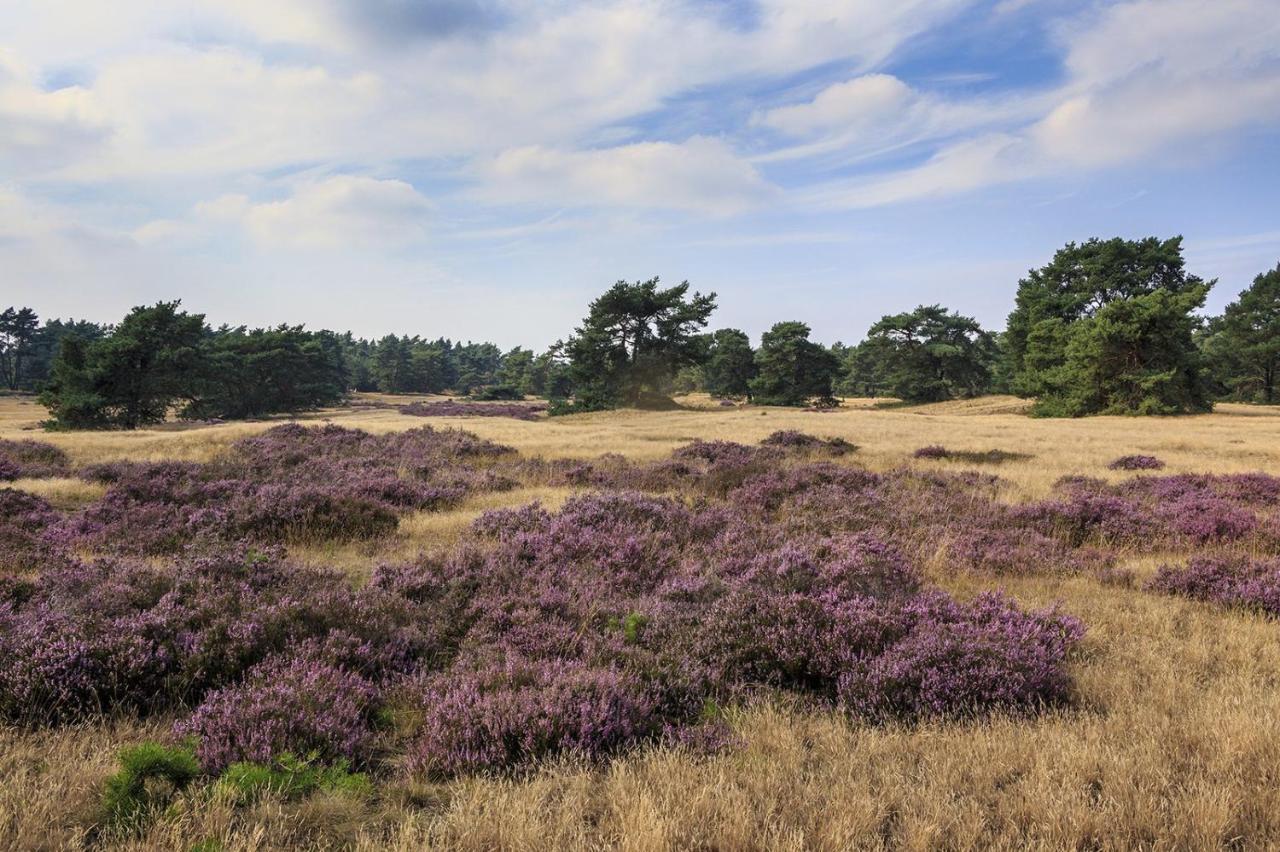 Chalet Op De Veluwe # Linde พุทเทิน ภายนอก รูปภาพ